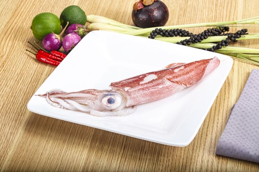Raw fresh squid for cooking photo