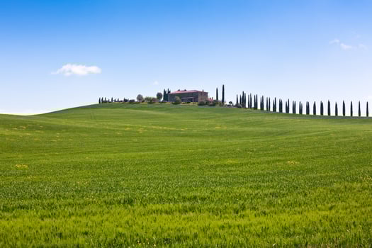 Tuscan farmhouse and cypress trees photo