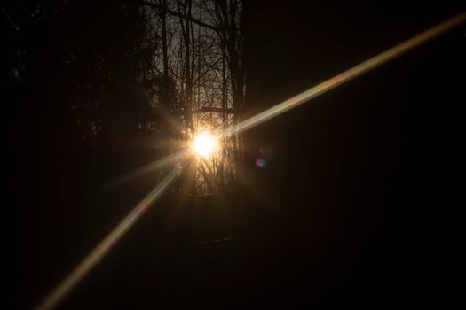 A ray of light. Sun in the forest. Light through the trees. photo