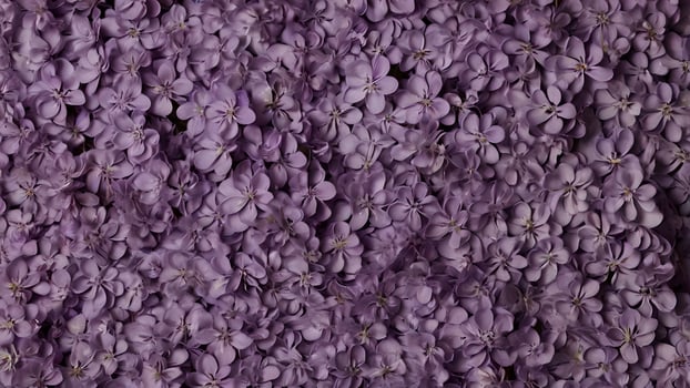 Romantic Violet Flower Background photo