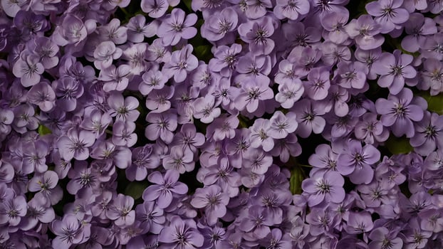 Romantic Violet Flower Garden Backdrop photo