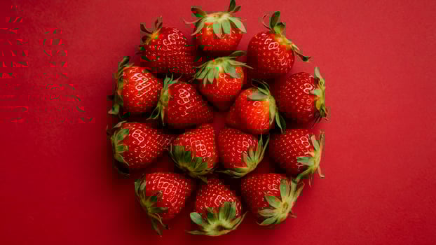 Strawberries isolated on a red background photo