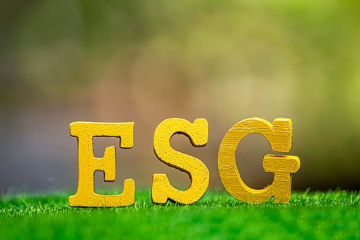 ESG concept of environmental, social, and governance. Sustainable corporation development. words ESG on a wood block on the environmental background.Idea for sustainable organizational photo