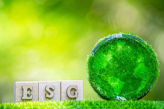 eco-friendly products for your home photo