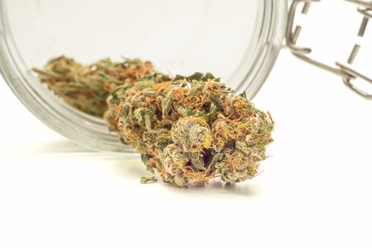 Dry cannabis buds outside of a jar on a white background photo