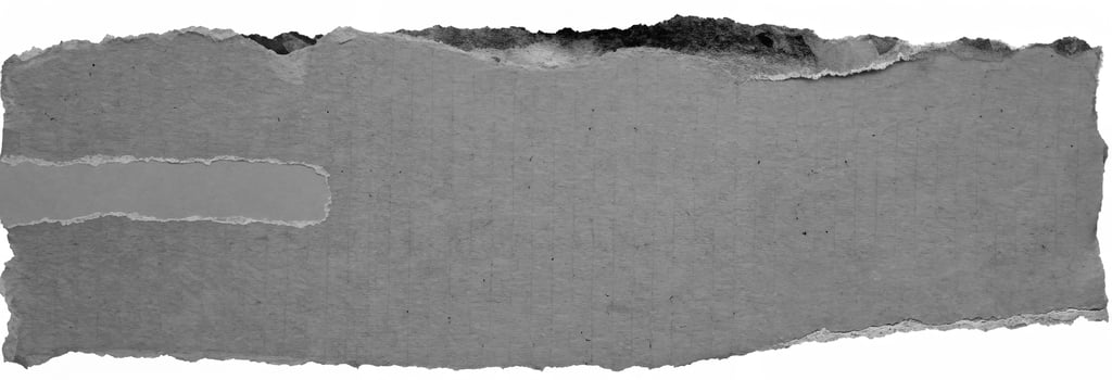 Torn grunge black and white paper texture with rough edges, isolated on white background. photo