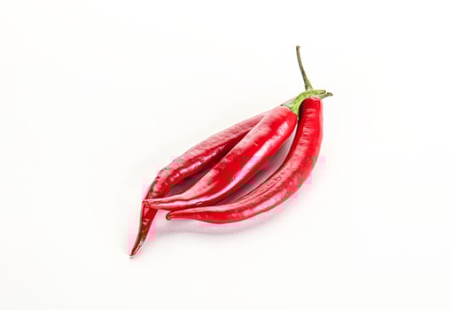 Hot and spicy chili pepper photo
