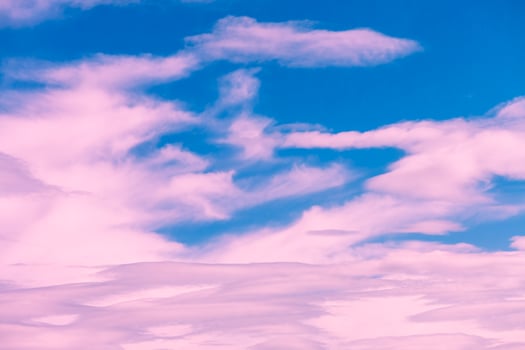 Magic pink cumulus clouds in blue sky, sunset, sunrise photo