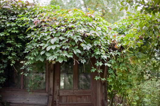 entrance of old abandoned garden house photo