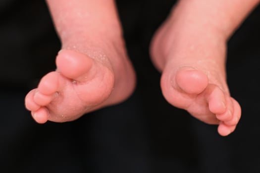 Handles and legs of the newborn baby photo