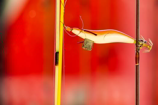 Brightly Colored Fishing Lure Hanging from a Line, Ready for Use in Outdoor Angling Adventures. photo