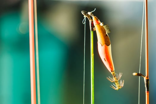 Brightly Colored Fishing Lure Hanging from a Line, Ready for Use in Outdoor Angling Adventures. photo