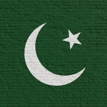 Brick Wall With Flag Of Pakistan photo