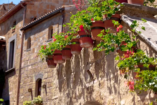 Bright flower pots on house wall photo