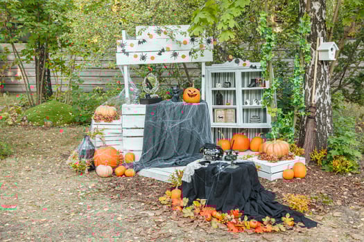 Beautiful autumn Halloween location photo