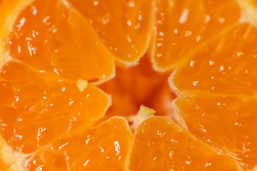 Vibrant orange citrus slice reveals juicy segments in close-up, showcasing nature refreshing sweetness photo