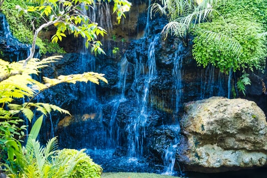 Scenic Waterfall Surrounded by Lush Vegetation photo