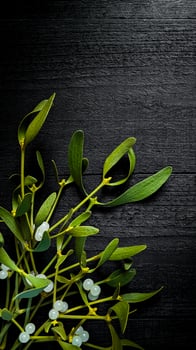 Green mistletoe branches with white berries on black wooden background, top view. Christmas symbol. photo