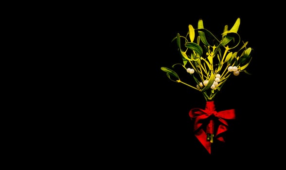 Bouquet of green mistletoe branches with white berries tied with red satin ribbon with beautiful bow on black background. Can be used as banner, wallpaper, background, postcard. photo
