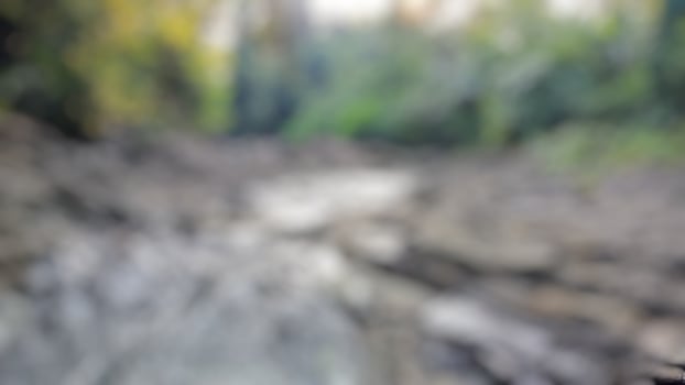 Abstract blurred background of a creek flowing through a lush forest. Nature, tranquility, serenity concept. photo