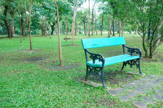 vibrant blue bench sits in lush green park surrounded by trees, inviting relaxation and tranquility. serene atmosphere enhances beauty of nature photo