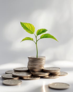 Growth of Finance with Green Leaves on Stacked Coins photo