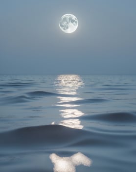 A full moon is seen over the ocean photo