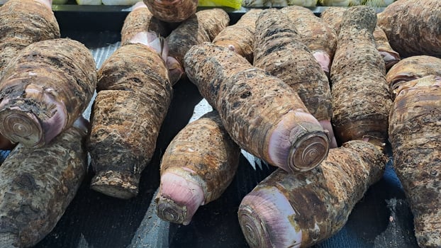 A pile of taro in a supermarket photo