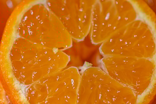 Juicy segments of citrus fruit glistening under soft light in a vibrant close-up photo