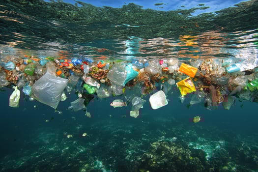 Floating trash bag in calm water reflects environmental concerns about ocean pollution photo