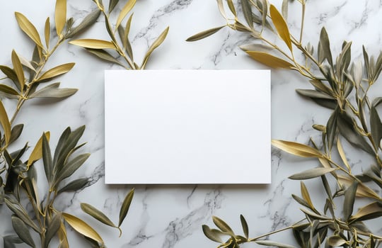 Blank card surrounded by olive branches on marble surface in natural light photo