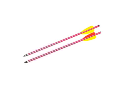 Two pink arrows with metal tips and yellow and orange fletching, isolated on a white background. photo