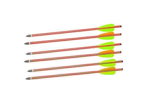 Six orange arrows with green and orange fletching, arranged in parallel on a white background. photo