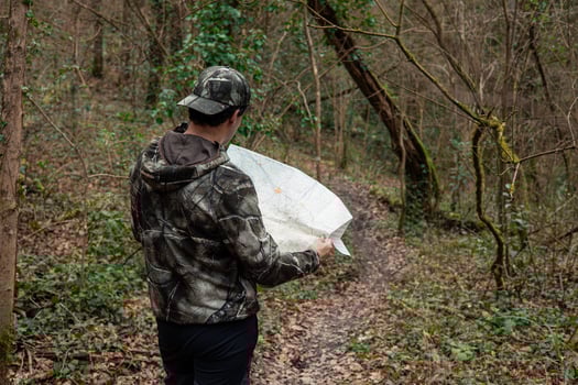 Trailblazing through Nature's Maze photo