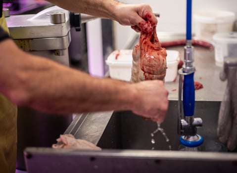 Closeup of Butcher's Hands Washing Excess Blood and Meat off Stuffed Chicken in Sink photo