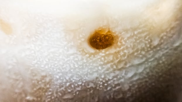 Ice water vapor outside the glass. Bubble pattern abstract background art design. Blurred background. photo