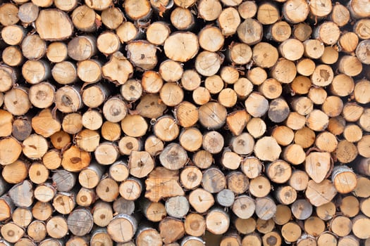 Pile of wood photo