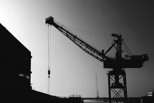 A black and white photo of a crane