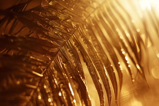Golden palm leaves on a dark background photo