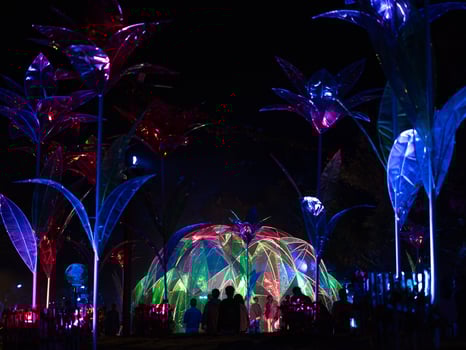 Light and sound show and colorful flower garden decoration at the ASEAN Flower. photo