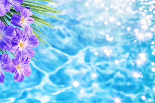 Tropical lagoon with turquoise waters and vibrant purple flowers under soft sunlight in a serene natural setting photo