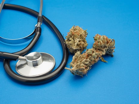 Dry marijuana buds flower and a stethoscope on a blue background photo