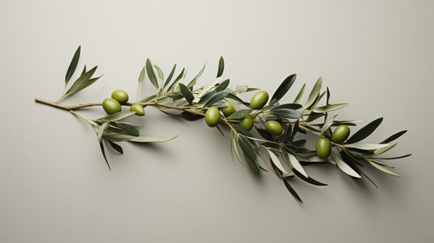 fresh green olives on branch with leaves photo