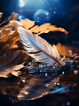 Ethereal feather and water droplets in starry night photo