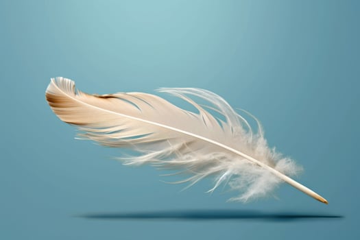 Delicate feather floating in the air photo