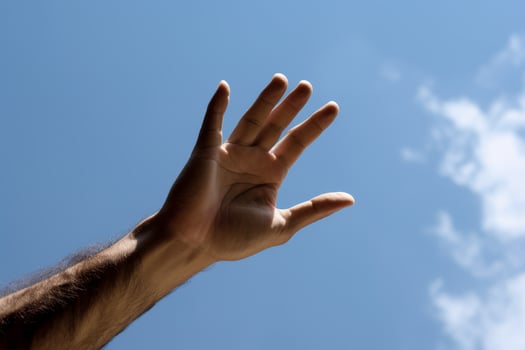 Reaching for the sky photo