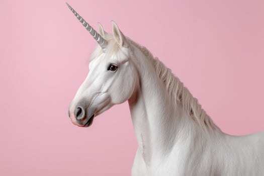 White unicorn horse with silver horn on pink background photo