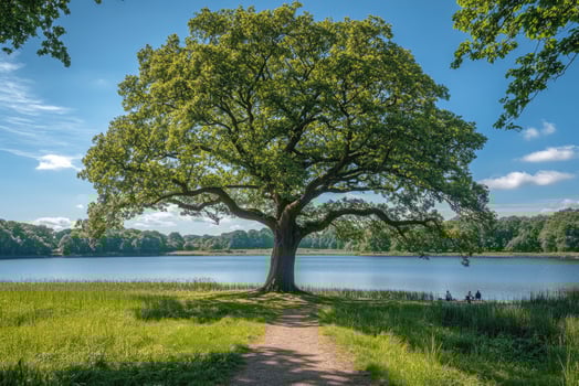 Majestic oak tree dominating the landscape by a serene lake photo