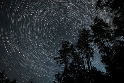 A breathtaking view captures the movement of stars creating trails in the night sky above a serene forest. Towering trees frame the enchanting celestial show. photo
