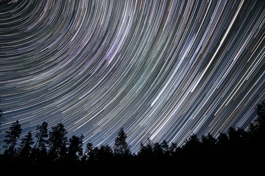 A mesmerizing display of star trails arcs across the night sky, creating a sense of motion above the dark silhouettes of trees in a quiet forest. photo